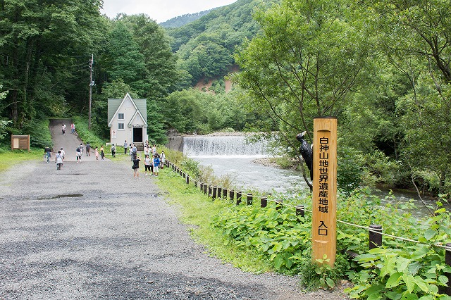 青森県にある世界遺産 白神山地で 青い池 を目指してトレッキング カメラと共に旅に出る タコちゃんずのブログ