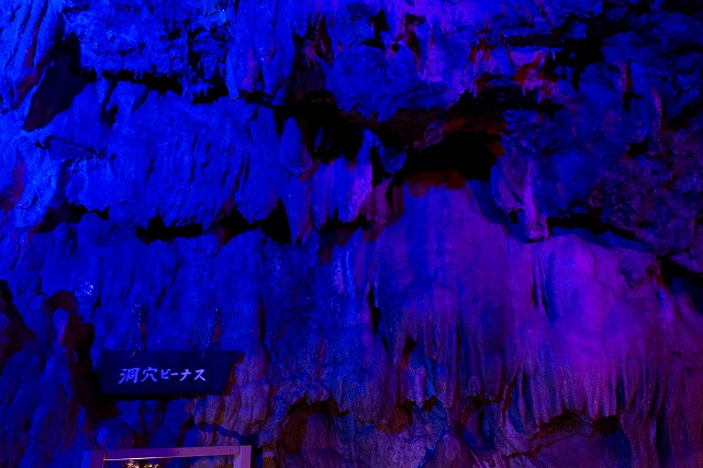 洞窟ビーナス
